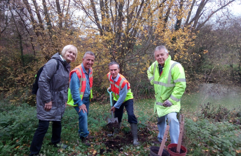 Tree planting