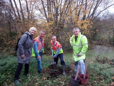 Tree planting